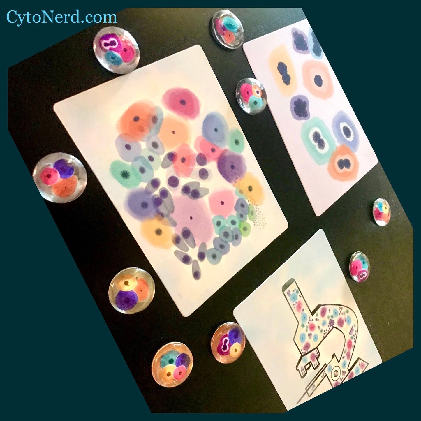 Magnets cells - Round magnets of cells from the human cervix