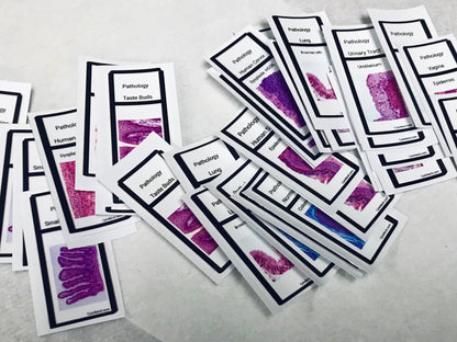 Slide Stickers of tissues - Histology Pathology
