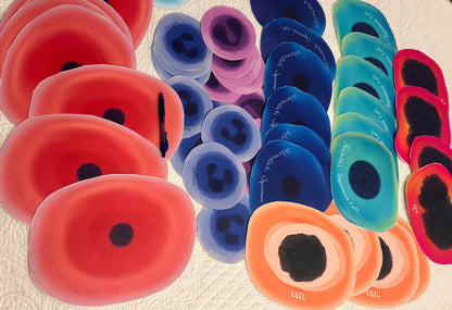 Giant stickers - 10 Large cells wall decoration - wallpaper ~ craft art lab week decorations etc.