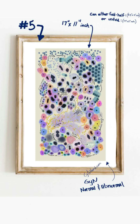 Large Cytology Study guide 11 x 17“ inch poster - fold-half is letter size or unfold for poster size - cytology pathology