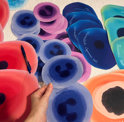 Giant stickers - 10 Large cells wall decoration - wallpaper ~ craft art lab week decorations etc.