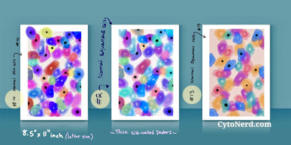 Cytology Art prints Letter sized 8.5” x 11 “ inch - many styles & you pick - Cytology Smaller Posters - Artprints wall art decor - cytology pathology