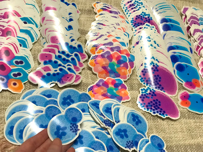 30 Random STICKERS ~ Pick 10, 20 or 30 DIFFERENT SIZES/STYLES STICKERS