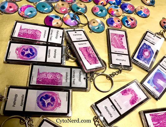 Slide Histology KEYCHAINS -  One of a kind - handmade