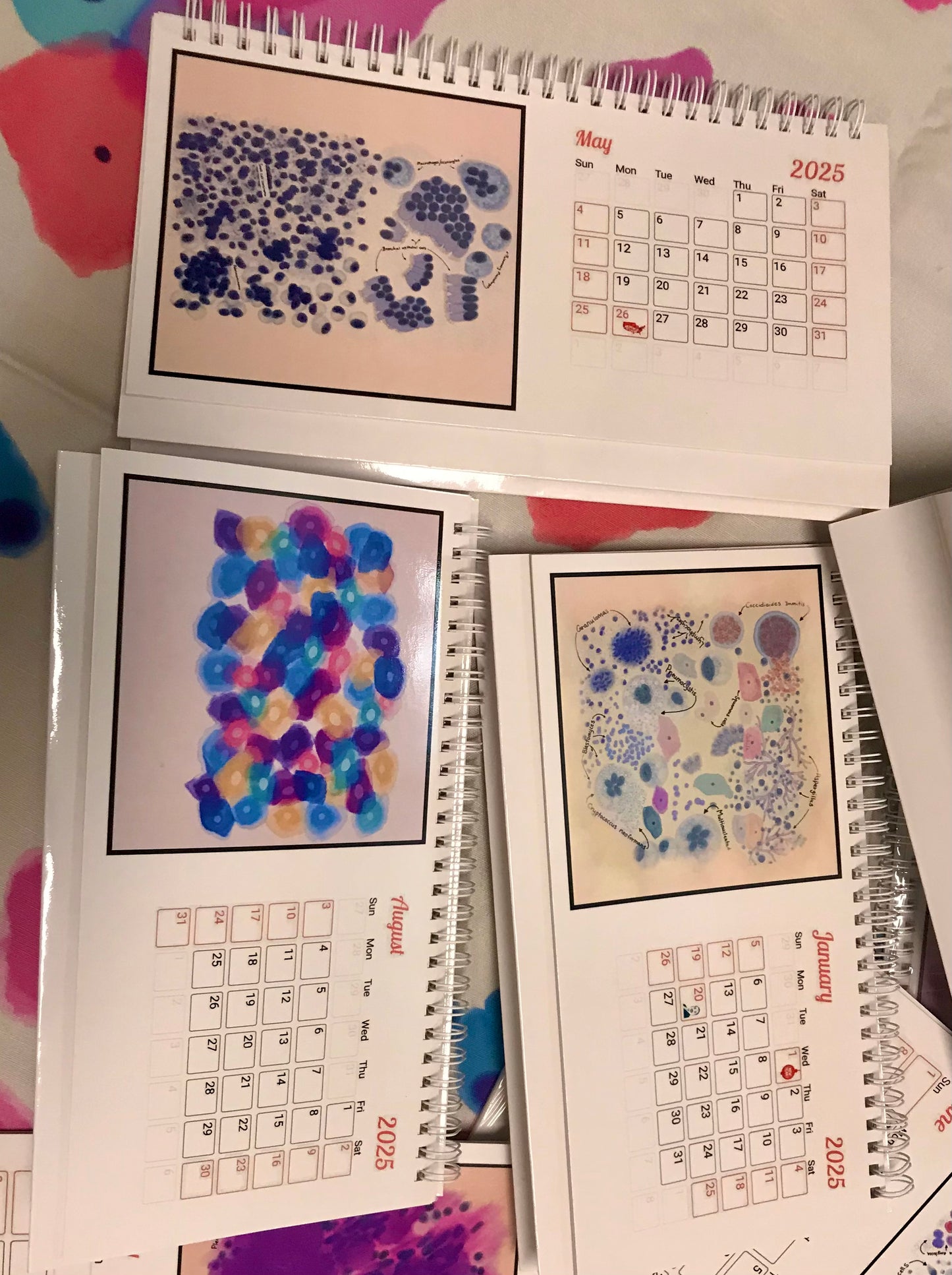2025 desk Calendar - Cytology art prints