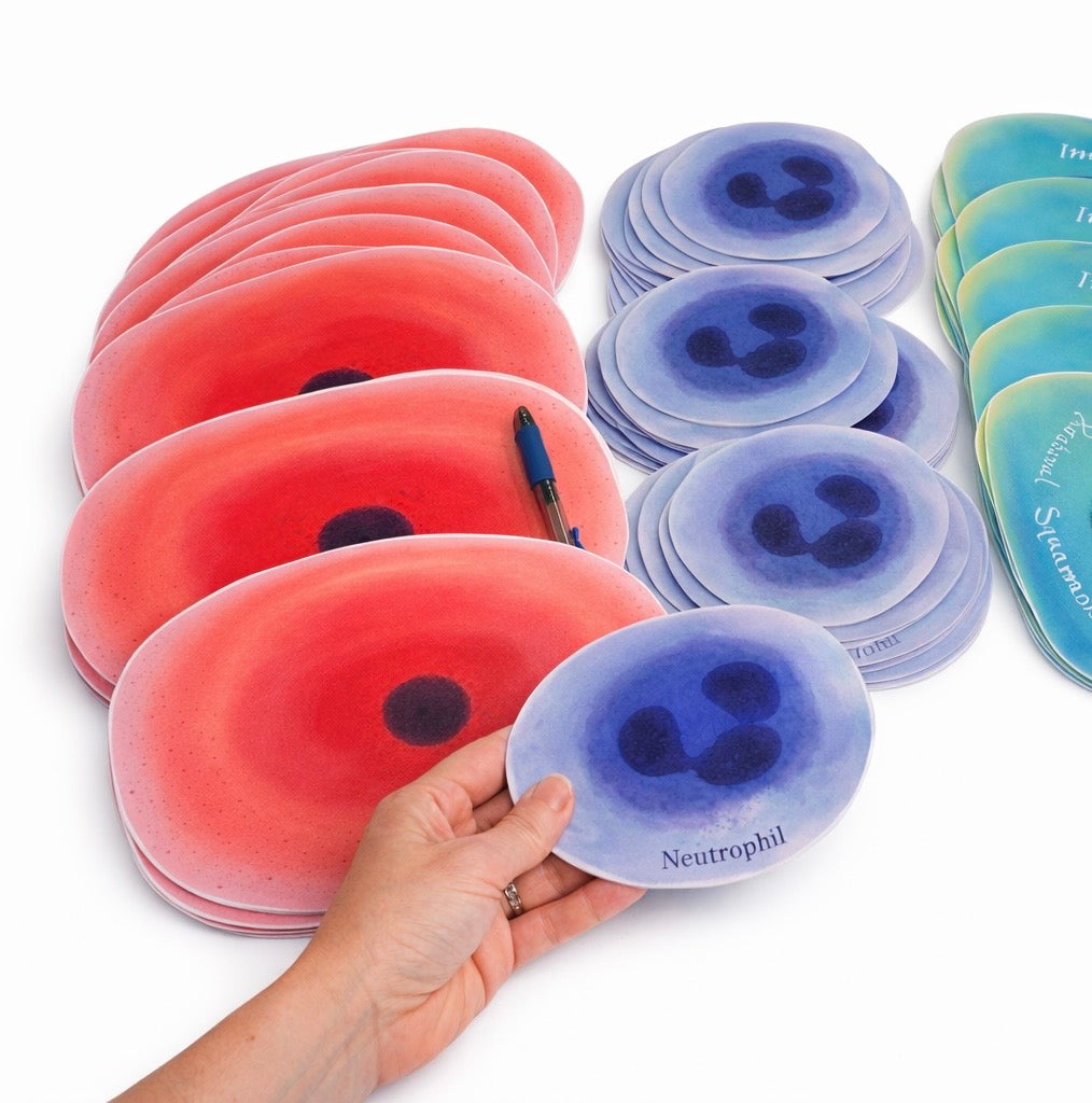 Giant stickers - 10 Large cells wall decoration - wallpaper ~ craft art lab week decorations etc.