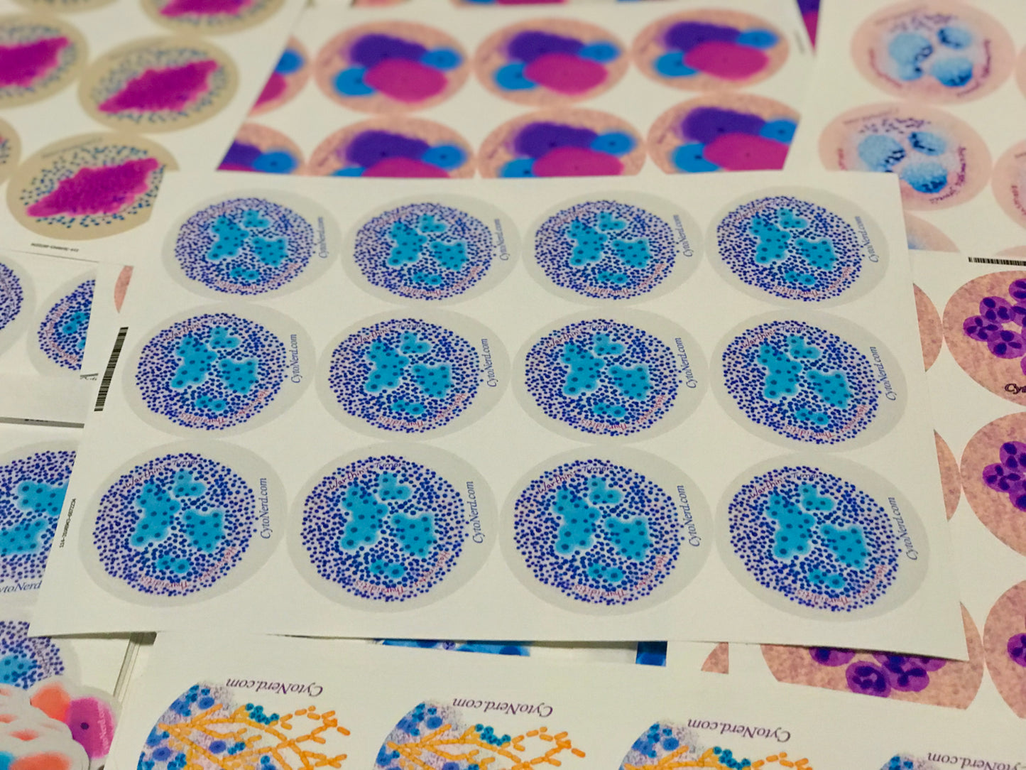 Stickers - Warthin’s tumor and Hashimoto’s thyroiditis