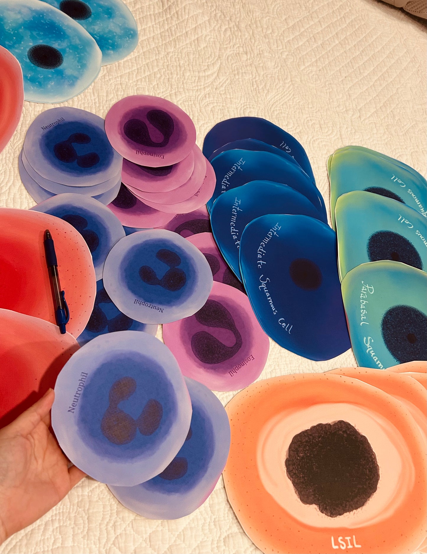 Giant stickers - 10 Large cells wall decoration - wallpaper ~ craft art lab week decorations etc.