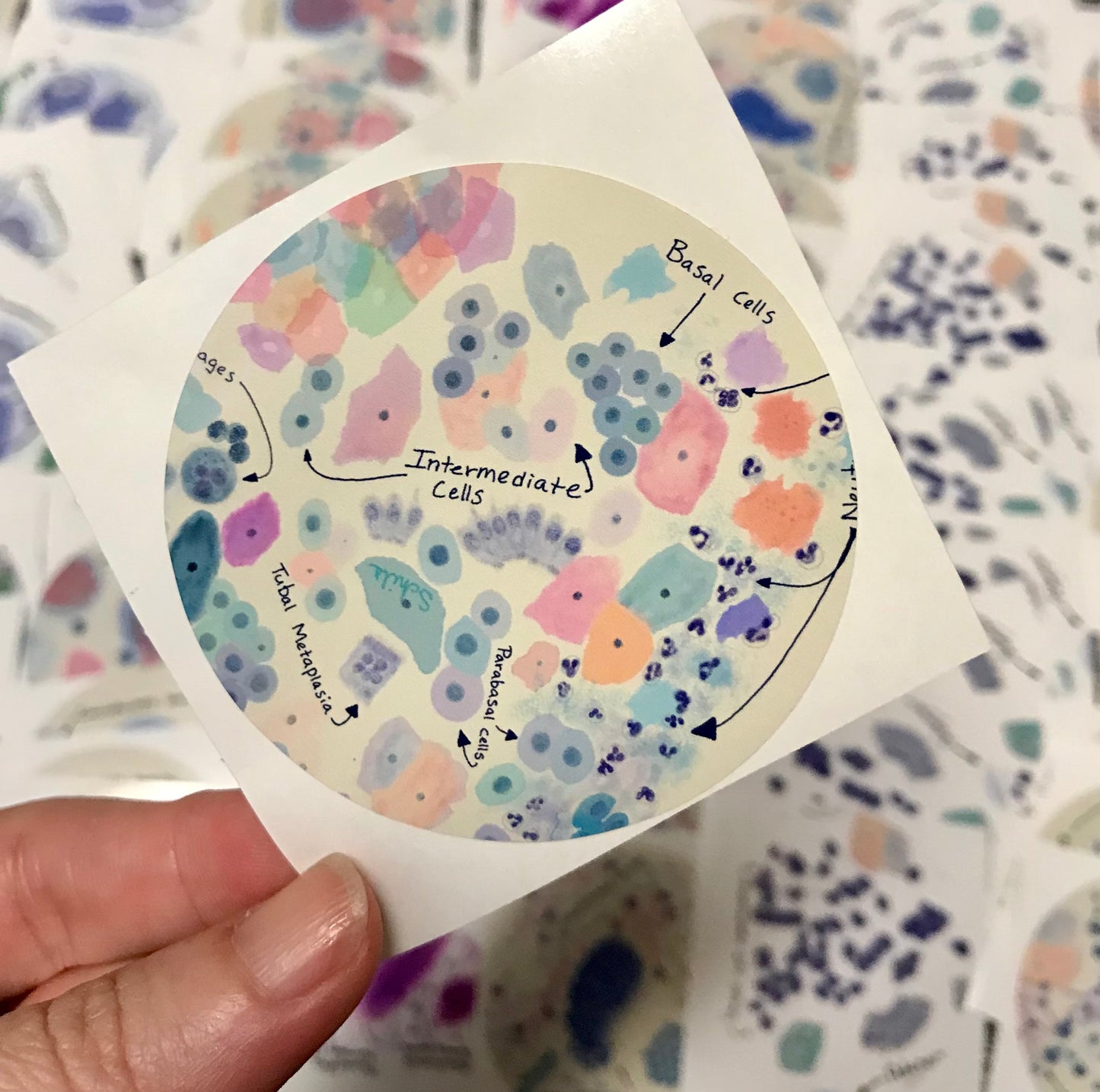 Benign Pap-Smear Cells Stickers