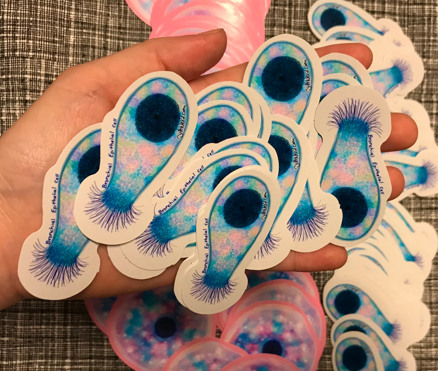 Large Lung cell with cilia, ciliated bronchial Cells Stickers