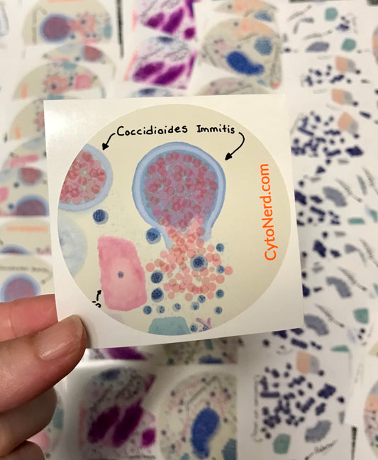 Coccidioides Immitis, lung infection Stickers