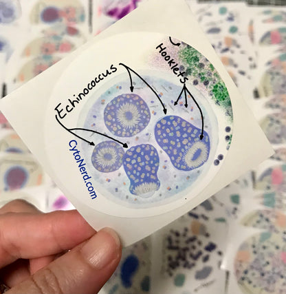 Echinococcus with hooklets Stickers