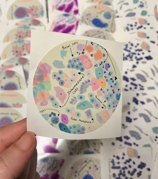 Cytology posters, pathology study guides, cytology stickers arts