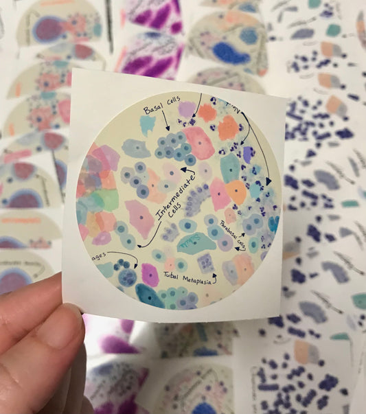 Benign Pap-Smear Cells Stickers