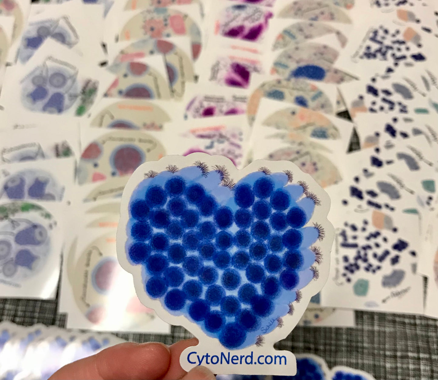 Bigger sized Heart Ciliated Respiratory bronchial Cells Stickers