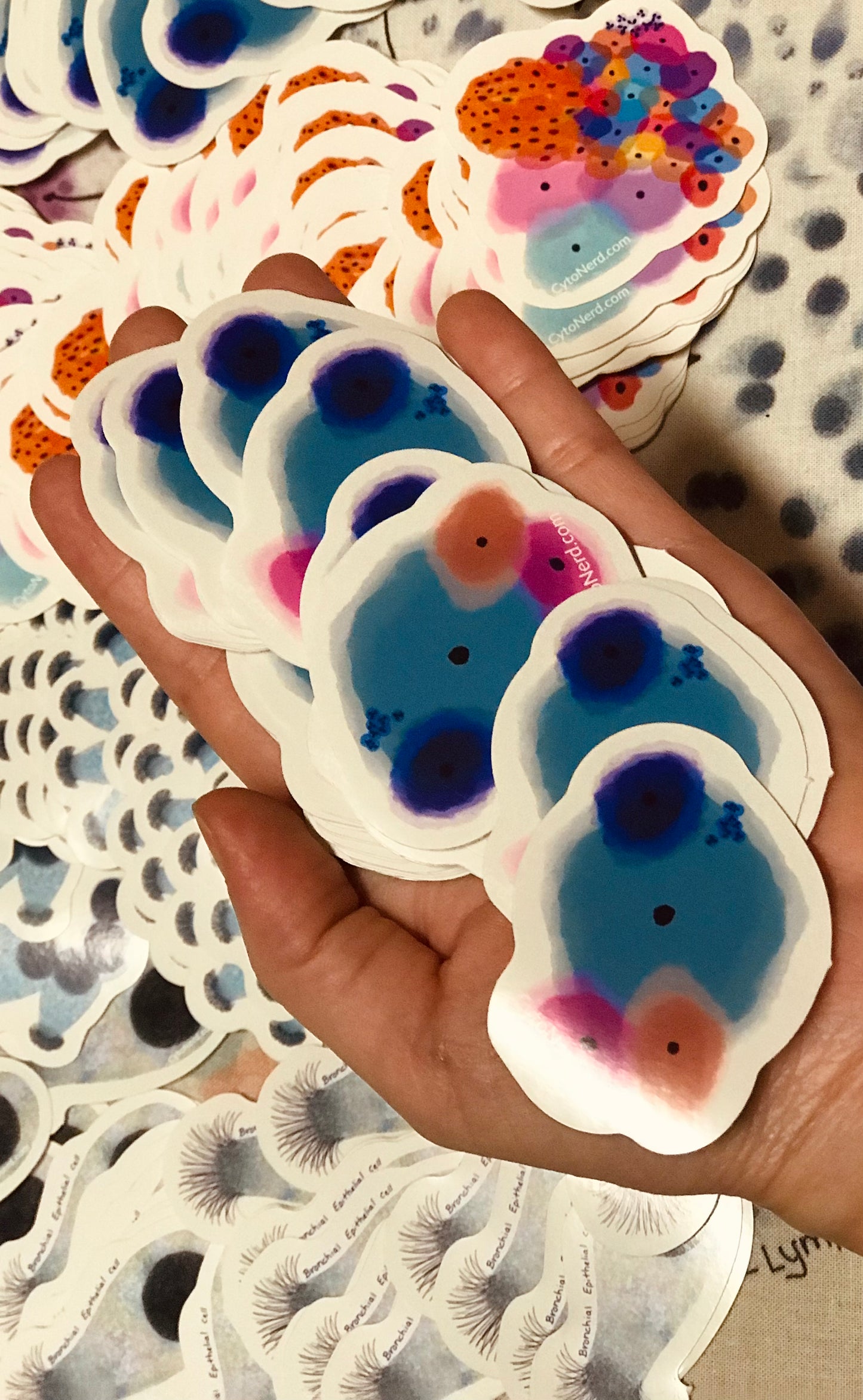 Colorful normal benign Squamous Cells Stickers