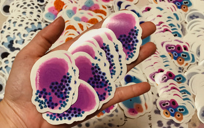 Thyroid colloid follicular cells Stickers