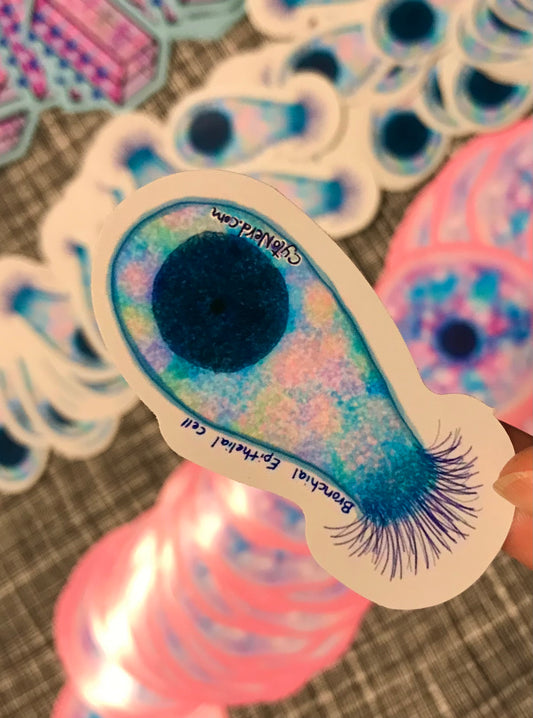 Large Lung cell with cilia, ciliated bronchial Cells Stickers