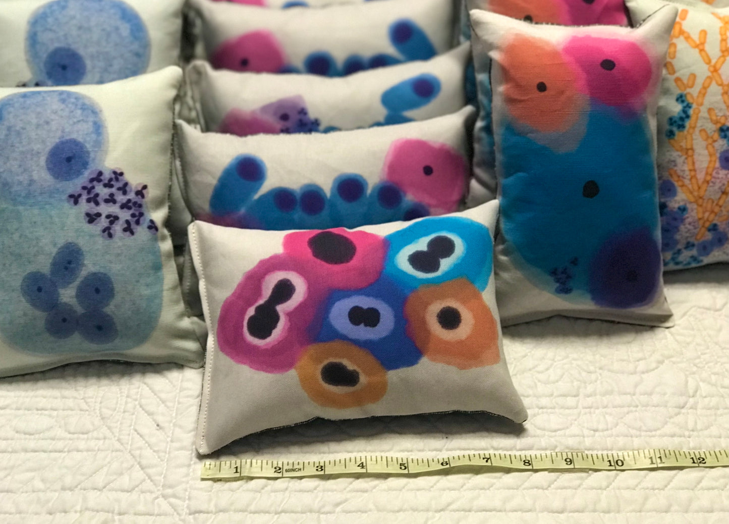 Colorful LSIL - Low Grade Squamous cells Plushy