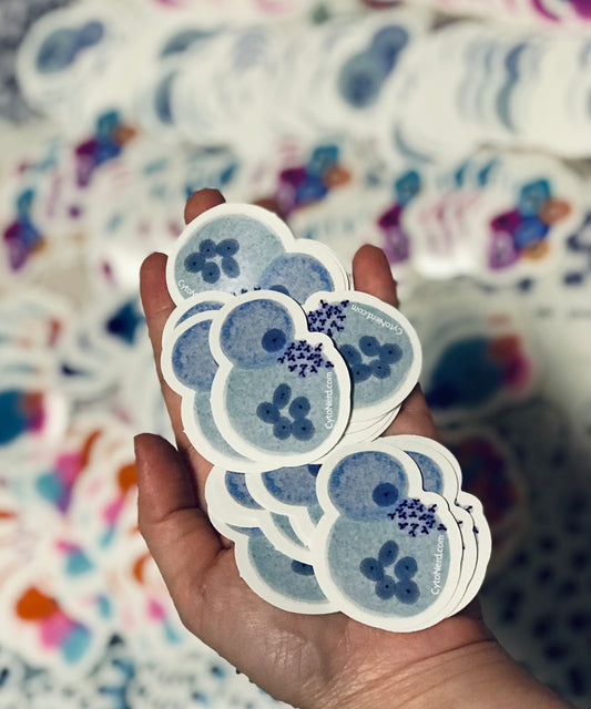 WBC, Macrophages Histiocytes cells Stickers