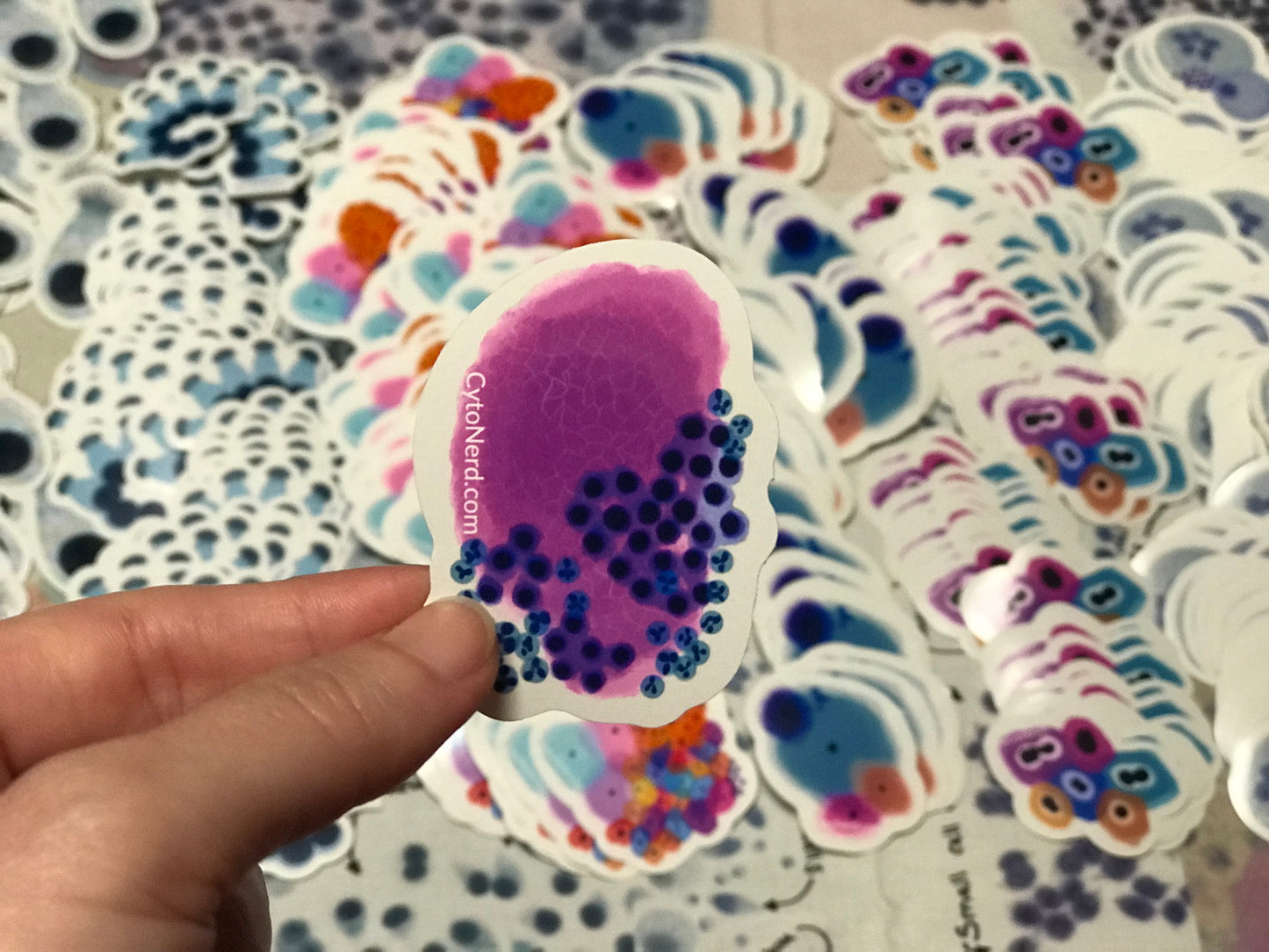 Thyroid colloid follicular cells Stickers