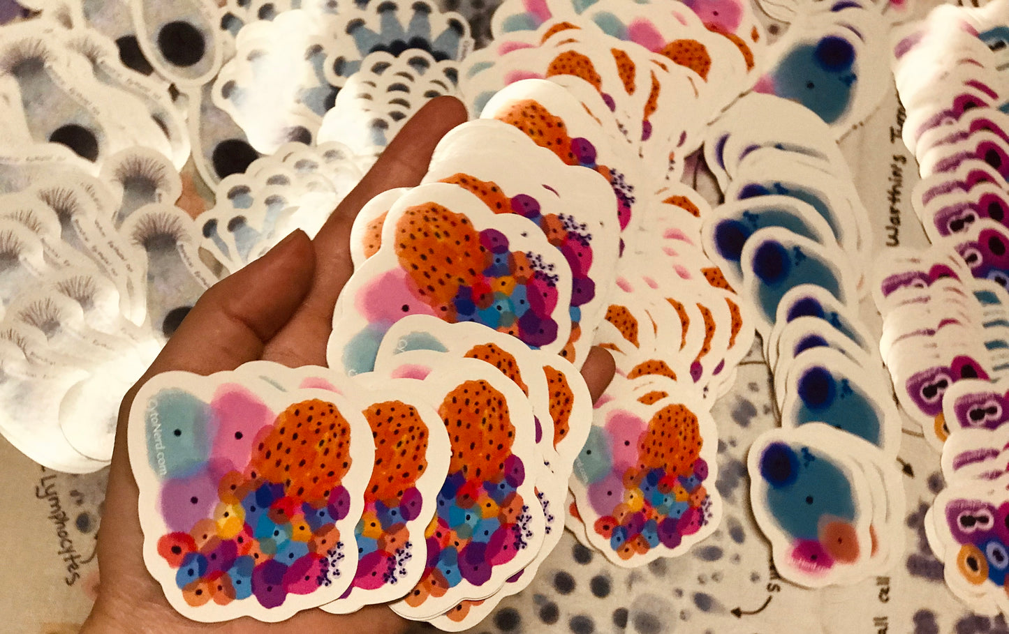 Colorful Benign Squamous cells parakeratosis Stickers