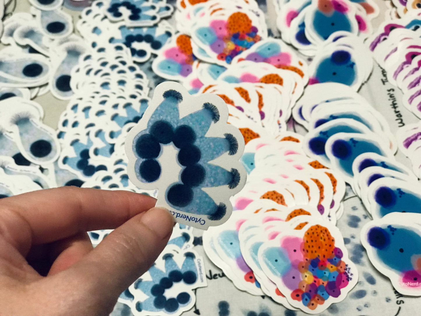 Lung cells, Ciliated Respiratory bronchial Cells Stickers