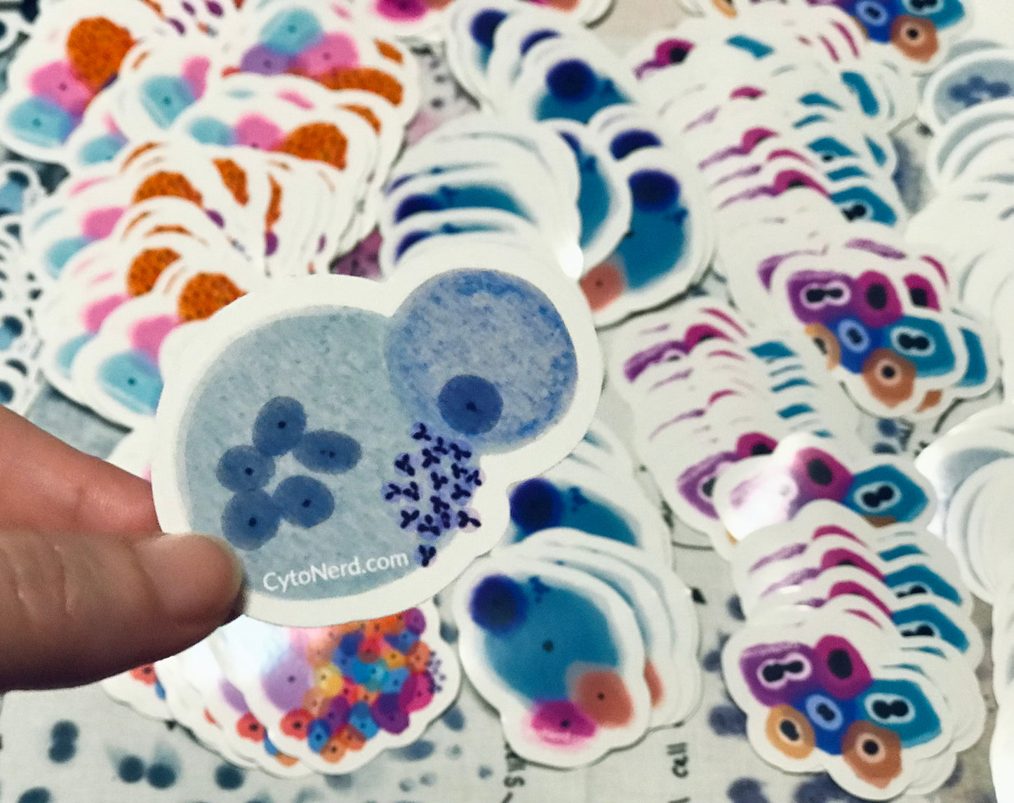 WBC, Macrophages Histiocytes cells Stickers