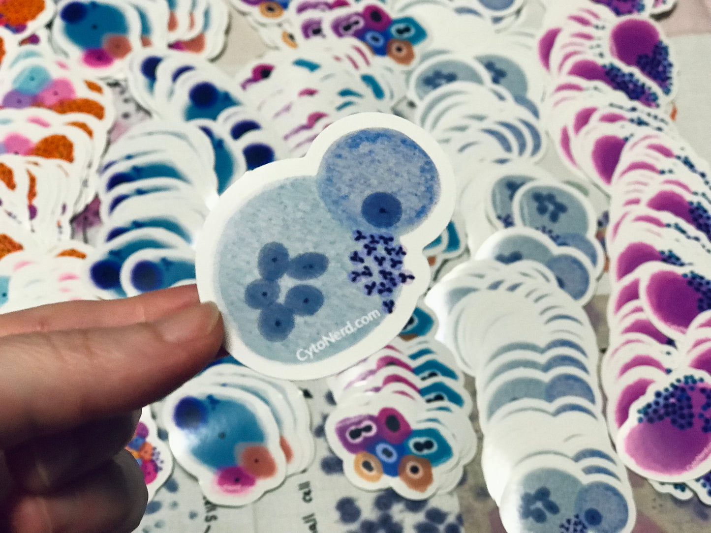 WBC, Macrophages Histiocytes cells Stickers