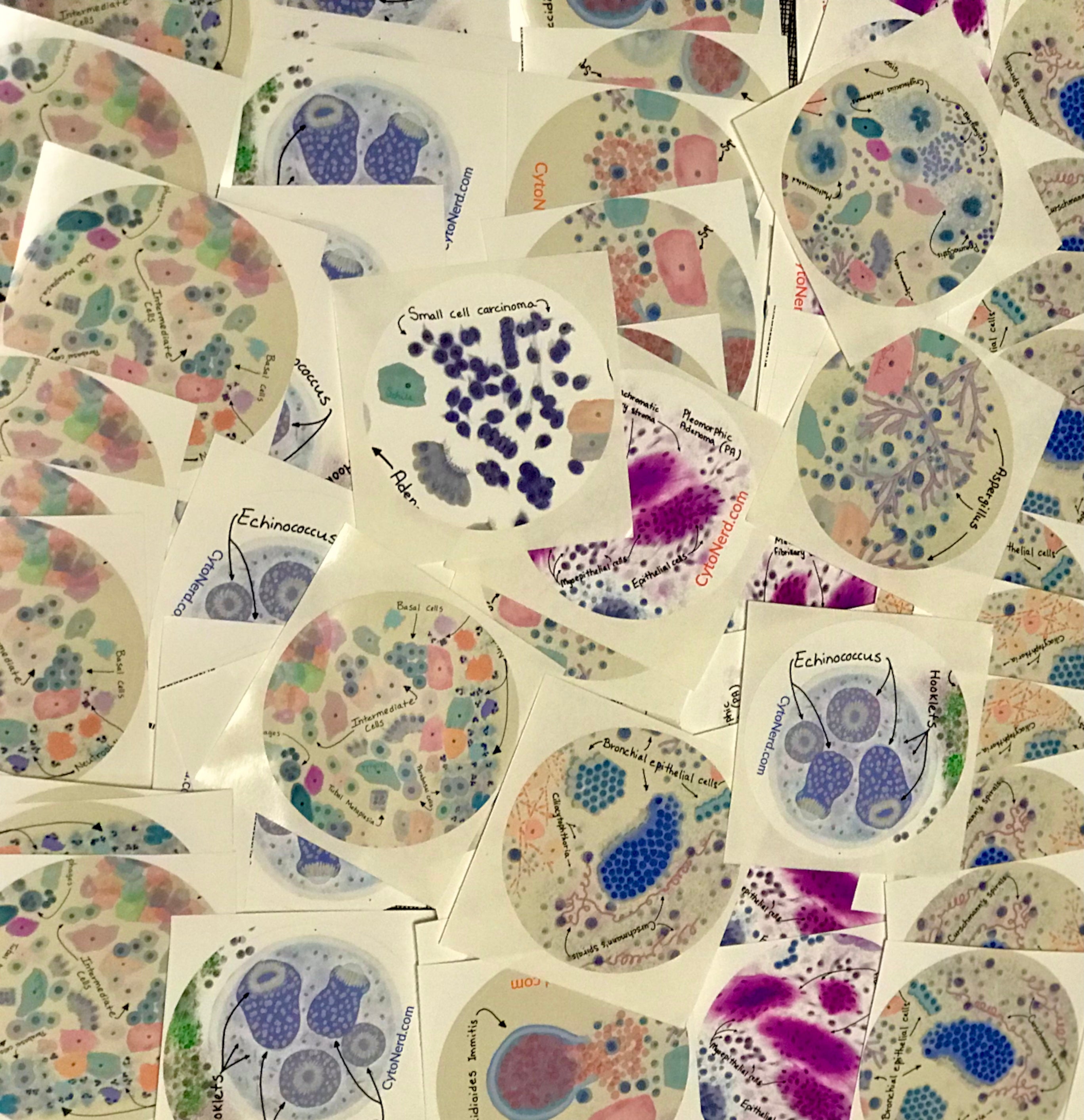 Cytology posters, pathology study guides, cytology stickers arts