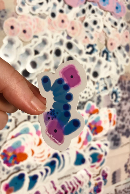 Smaller sticker, Benign Endocervical EC and Squamous cells Stickers