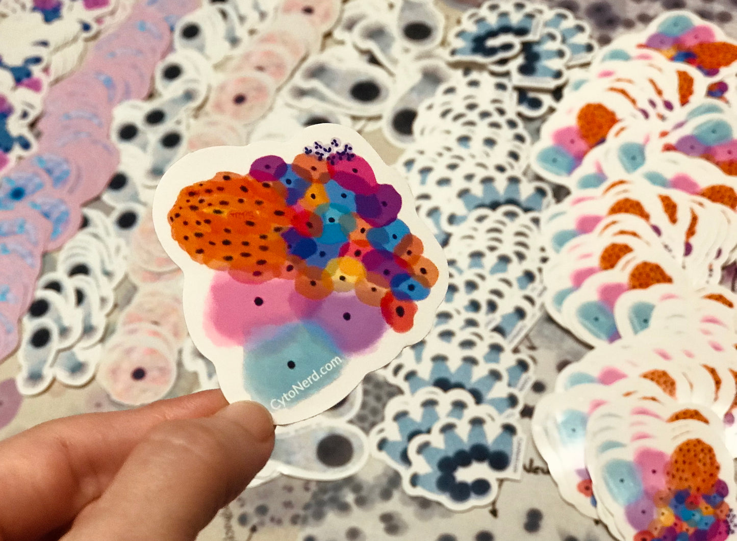 Colorful Benign Squamous cells parakeratosis Stickers