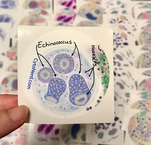 Echinococcus with hooklets Stickers