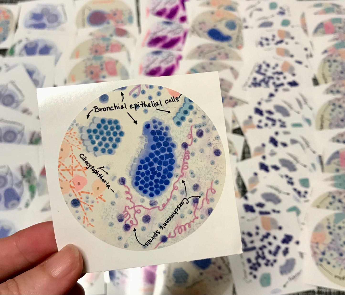 Benign lung bronchial cells Stickers