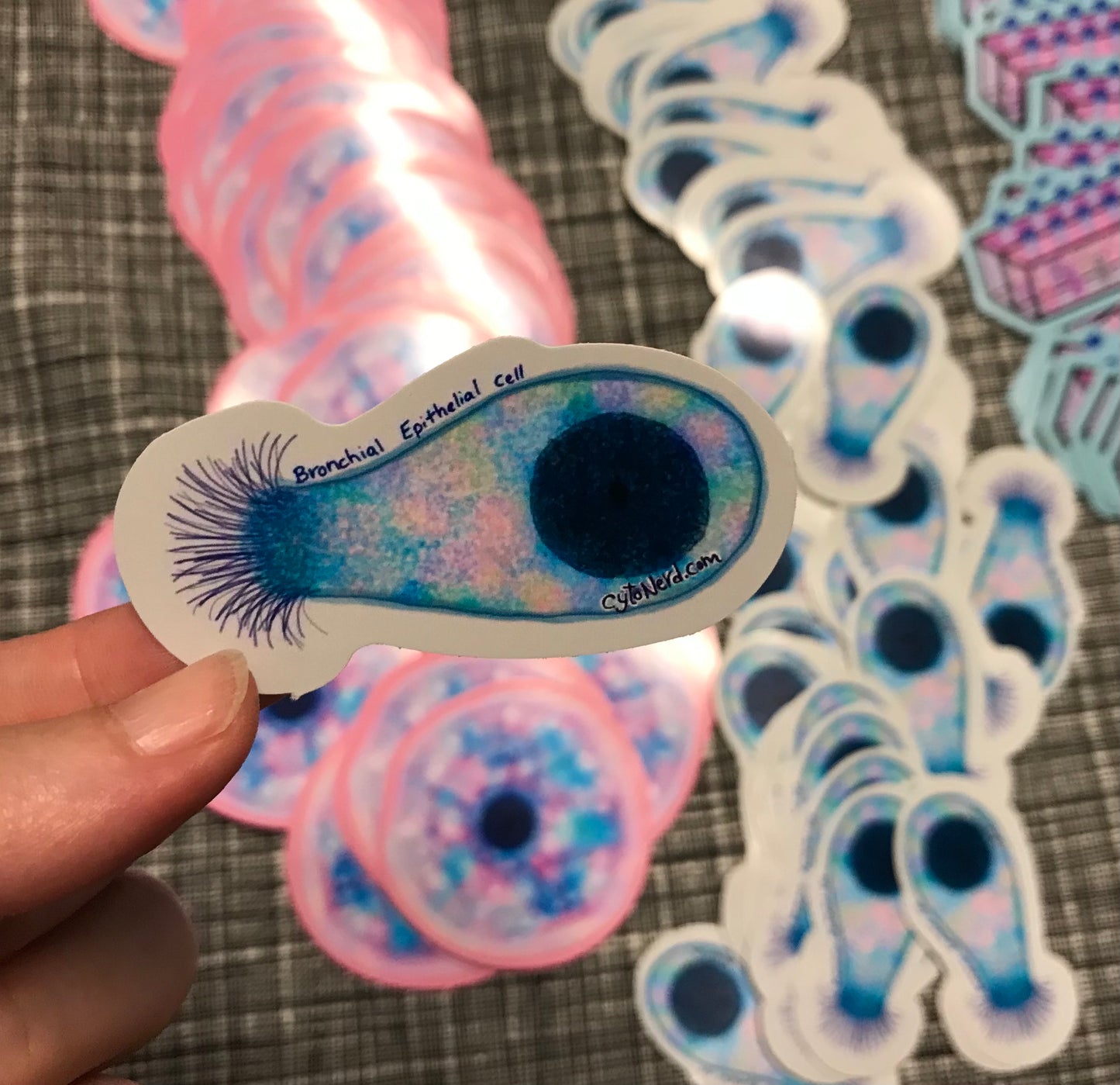 Large Lung cell with cilia, ciliated bronchial Cells Stickers