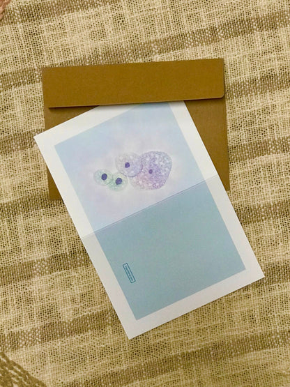 Squamous cells greeting cards