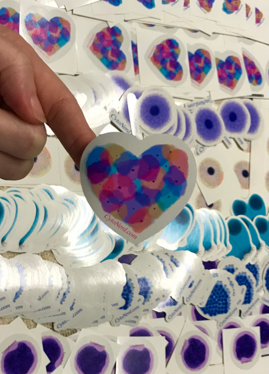 Heart Benign Squamous cells Stickers