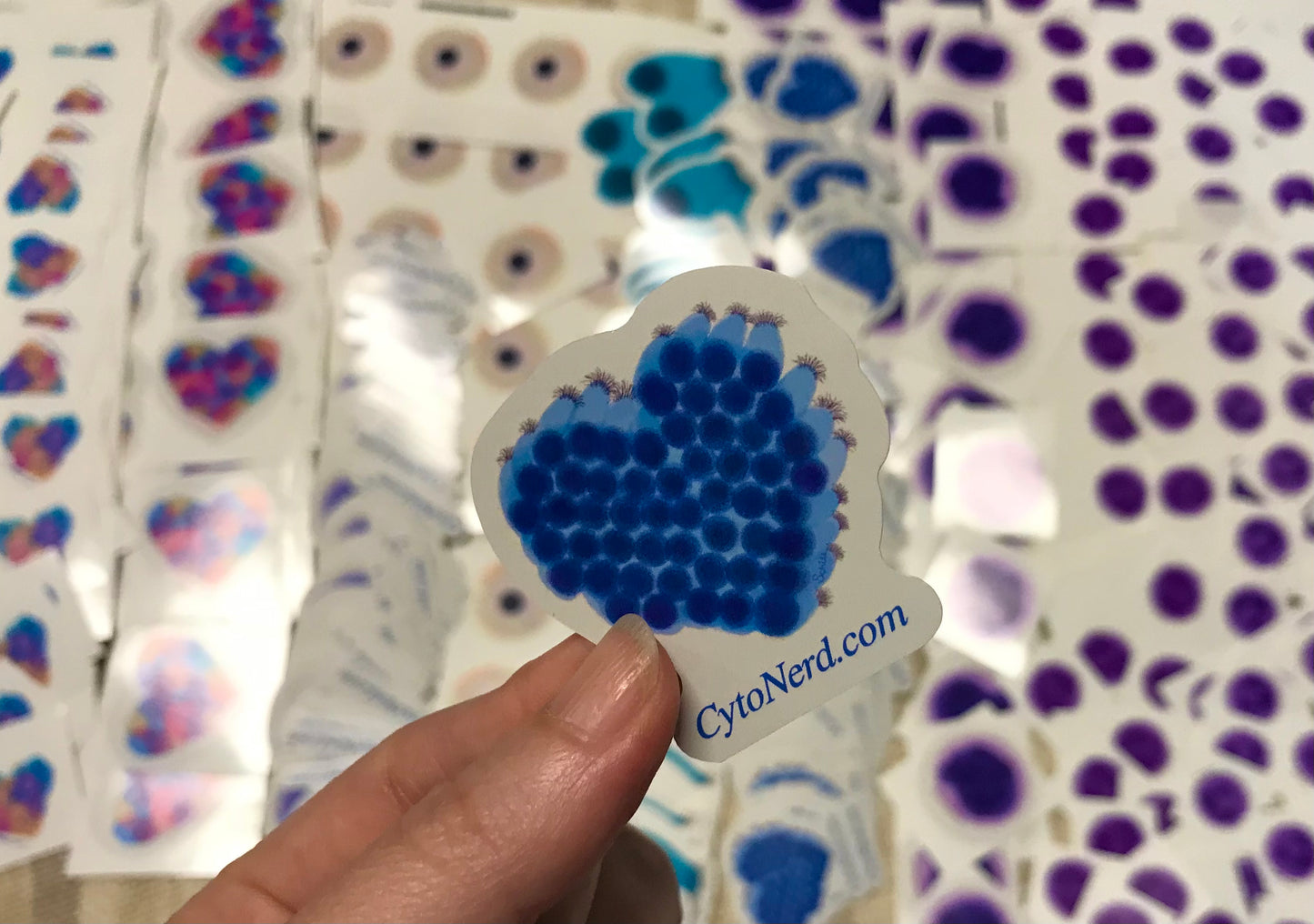 Smaller sized Heart Ciliated Respiratory bronchial Cells Stickers