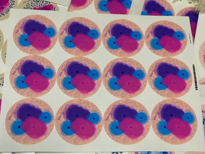 Benign Squamous Cells Stickers