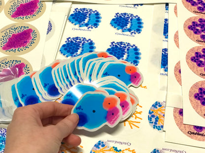 Benign Squamous Cells Stickers