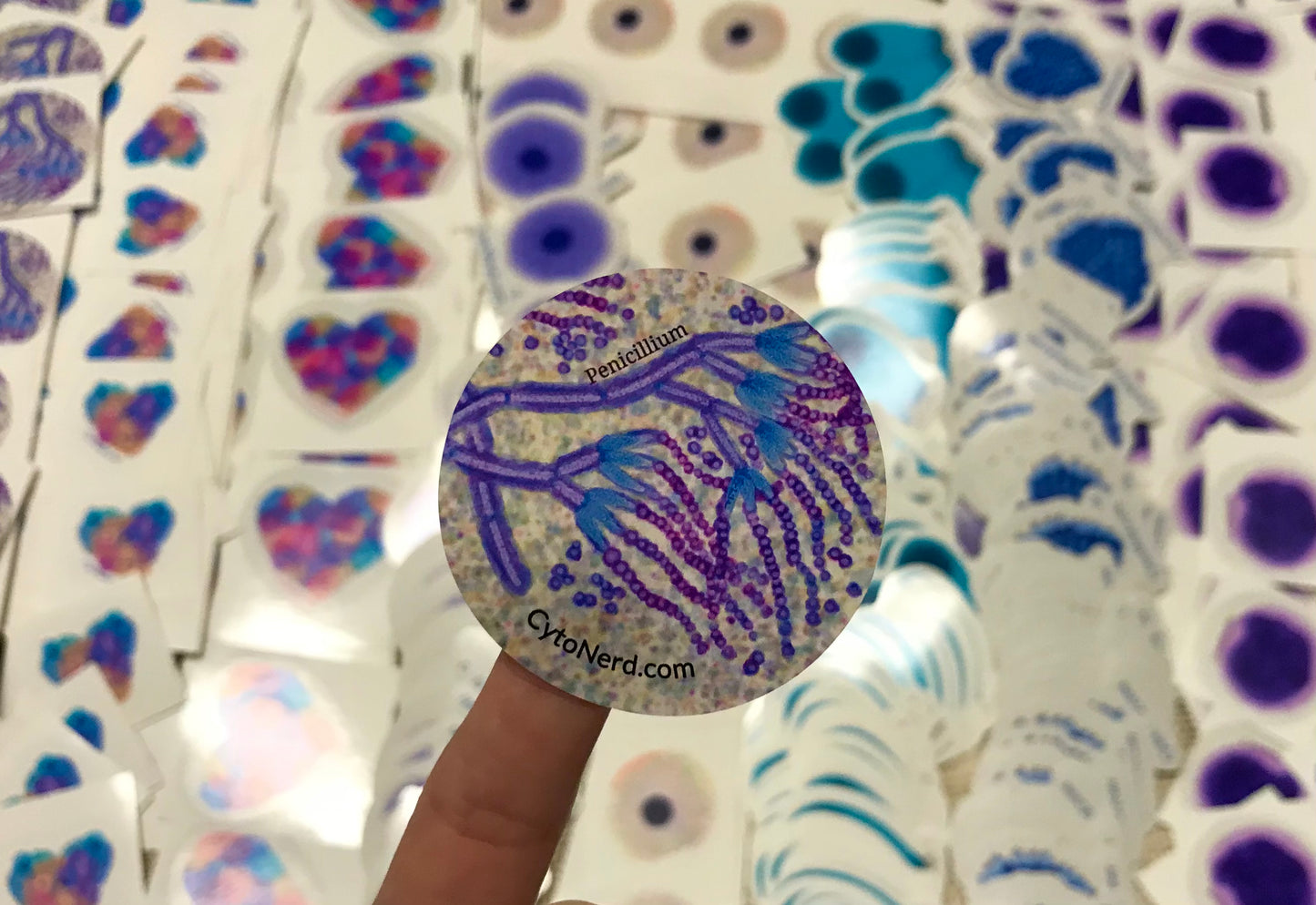 Penicillium fungal Stickers