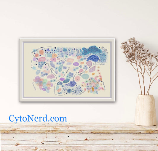 Cells Art print, Poster of endocervical cells, STD cytology cells - cervical Pap smear squamous cells