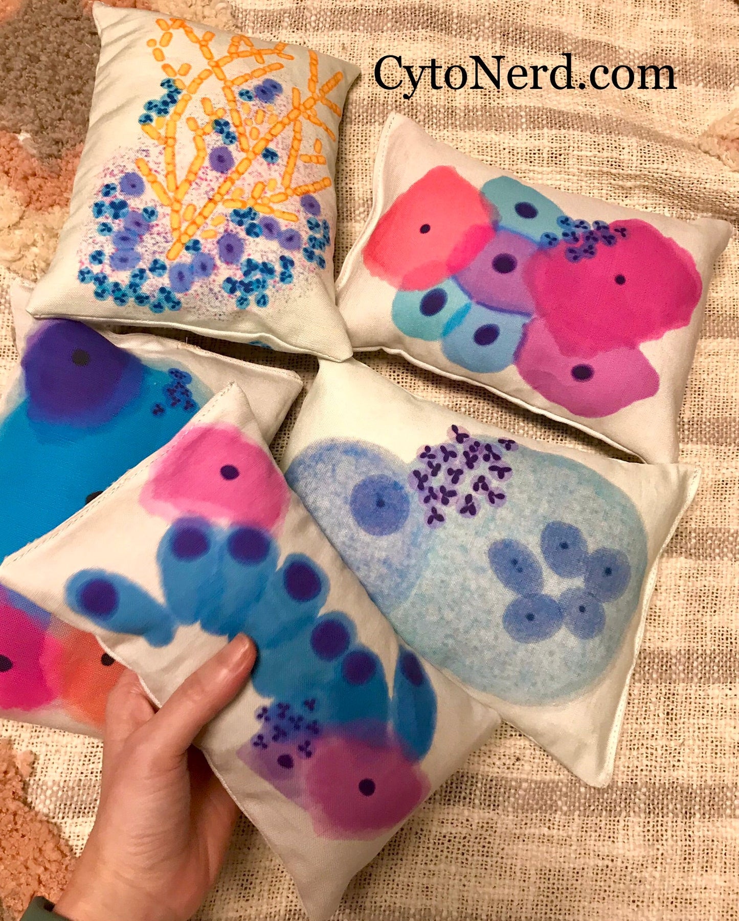 Benign Endocervical cells EC Squamous cells Plush pillow