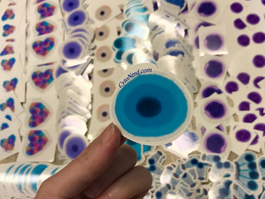 Blue Benign Squamous cells Stickers