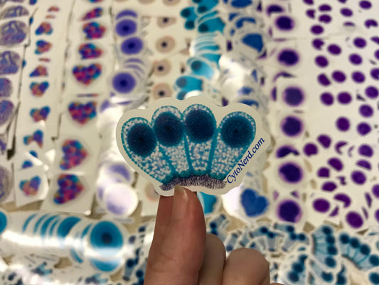 Glowing Ciliated Respiratory bronchial Cells Stickers