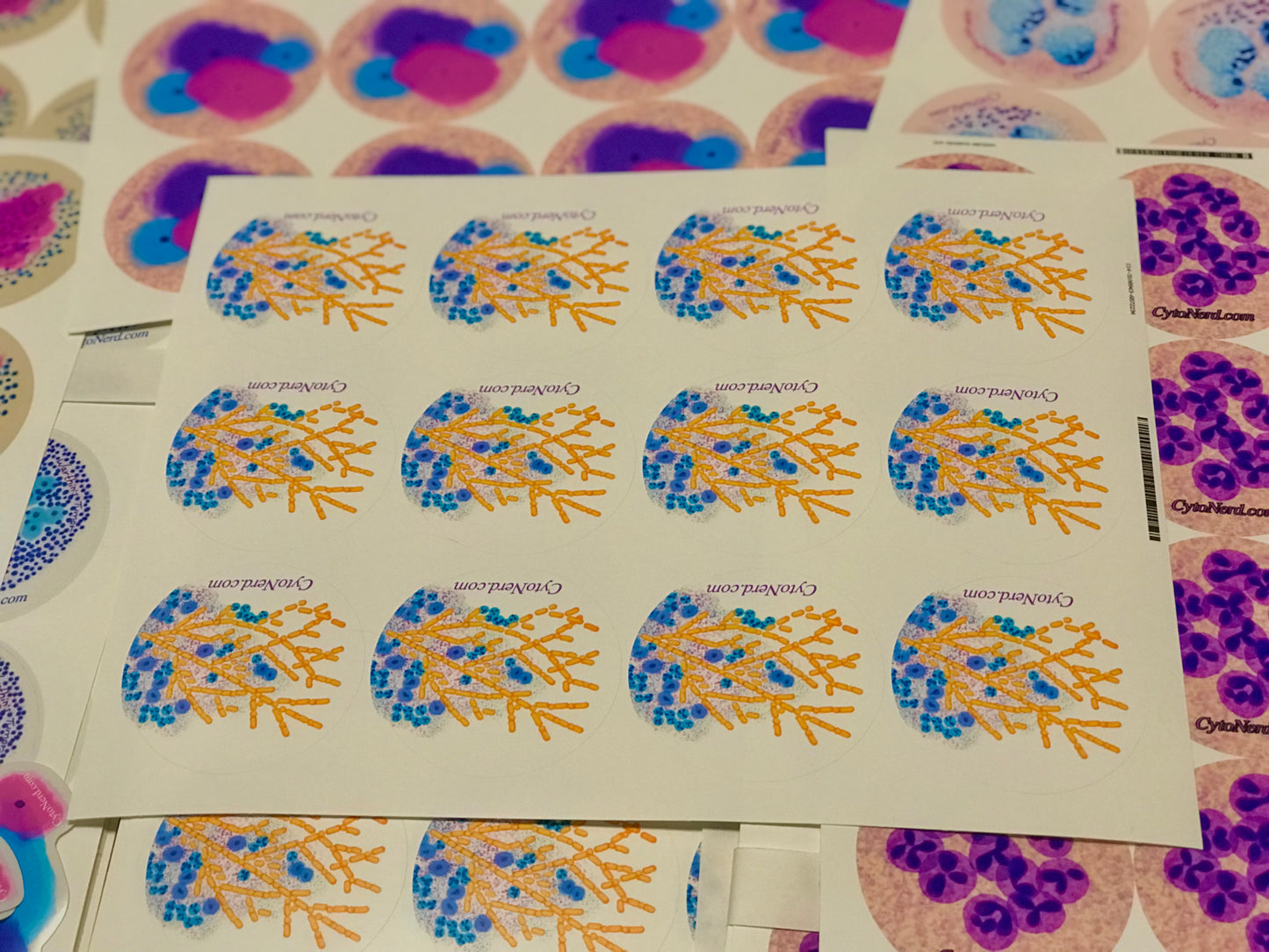 Candida fungal and Trich Stickers