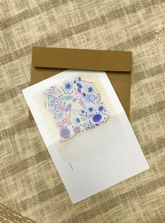 Lung with microbes greeting cards