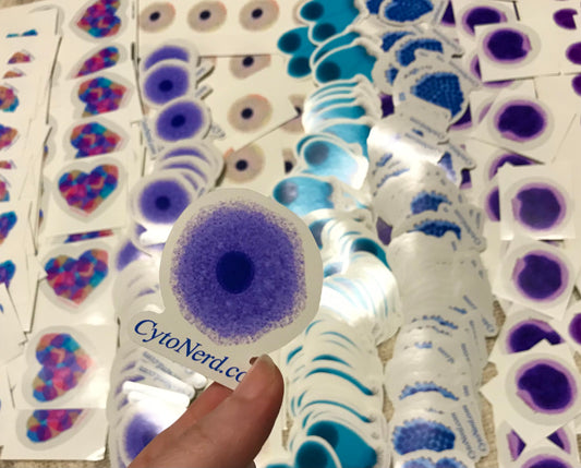 Purple Benign Squamous cells Stickers