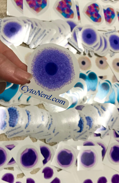 Purple Benign Squamous cells Stickers