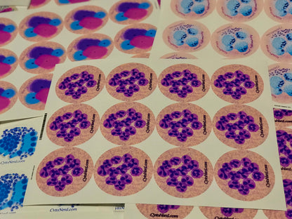 Neutrophils WBC Stickers